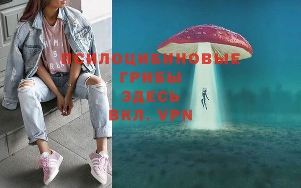 тгк Богданович