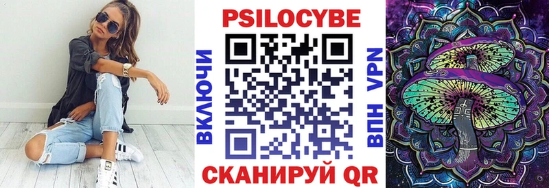 как найти   Баксан  Псилоцибиновые грибы Psilocybine cubensis 